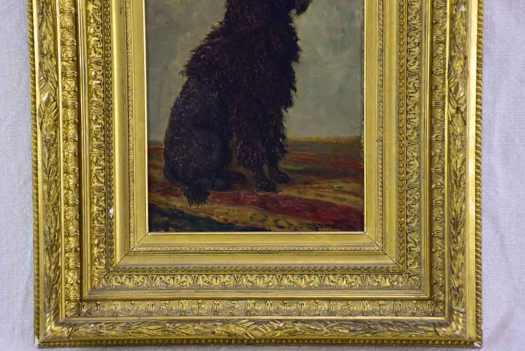 Portrait of a poodle named Capi - Raymond Desvarreux (1876-1961) 17" x 14½"
