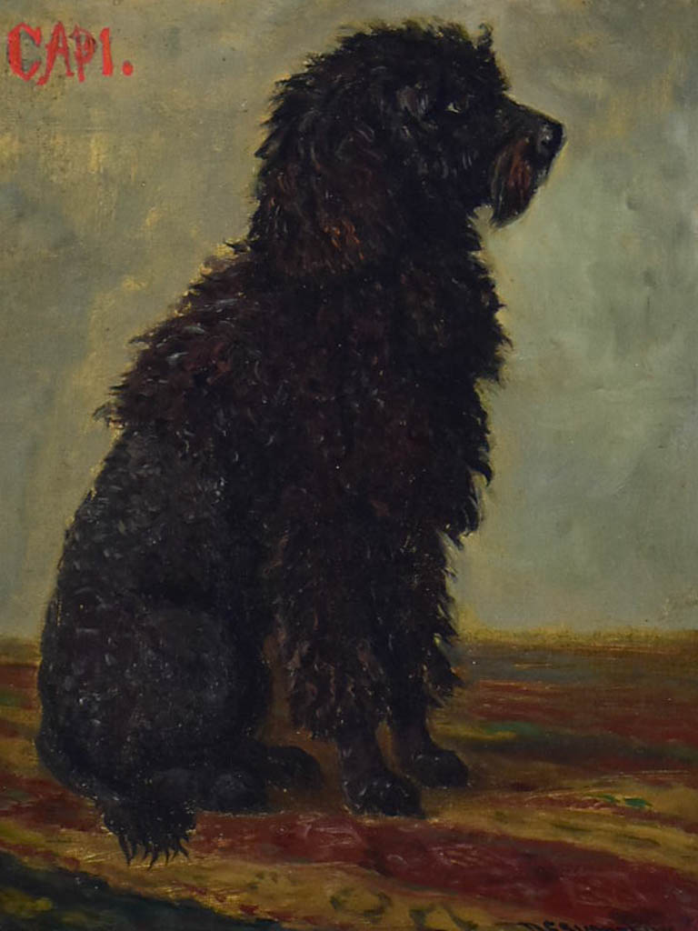 Portrait of a poodle named Capi - Raymond Desvarreux (1876-1961) 17" x 14½"