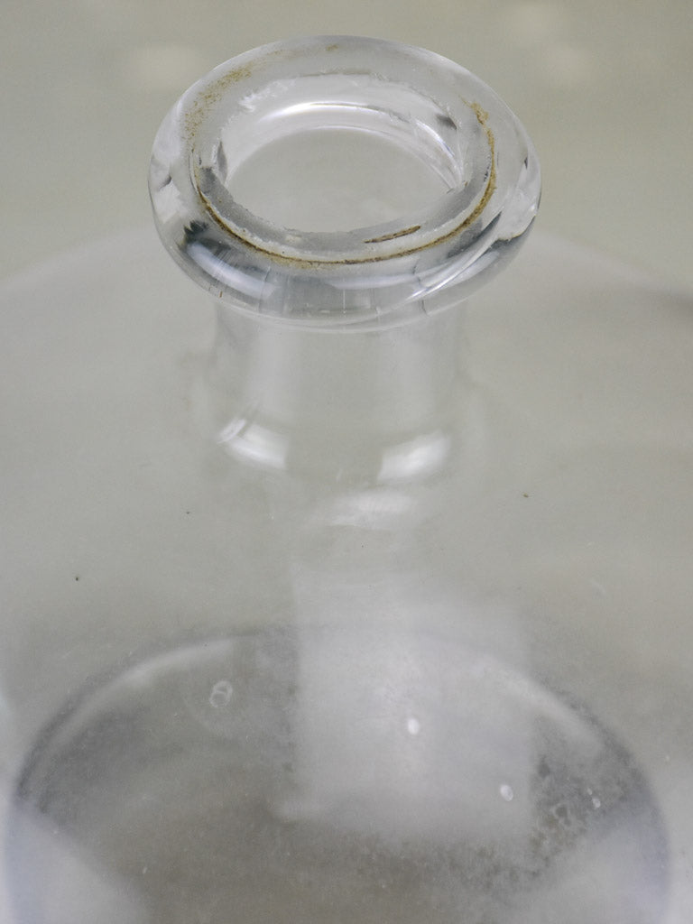 18th Century French blown glass wasp trap