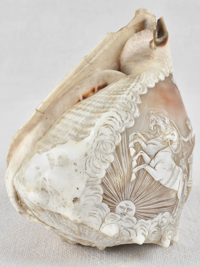 Antique Shell with Chariot Driven Scene