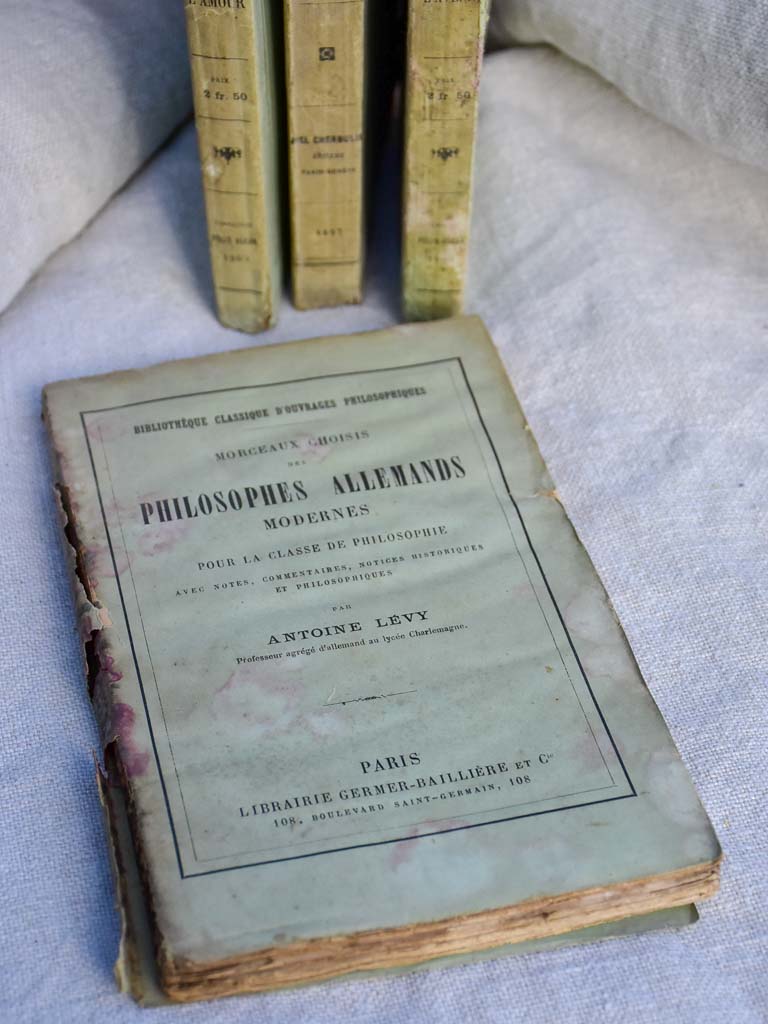 Collection of nine antique French books