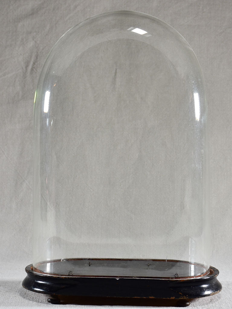Napoleon III carafe in a glass dome