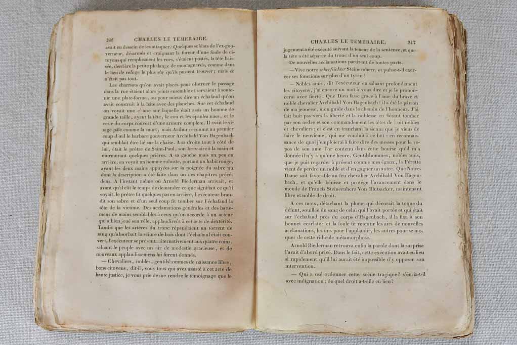 Collection of 21 antique books by Walter Scott - translated into French 8¾"