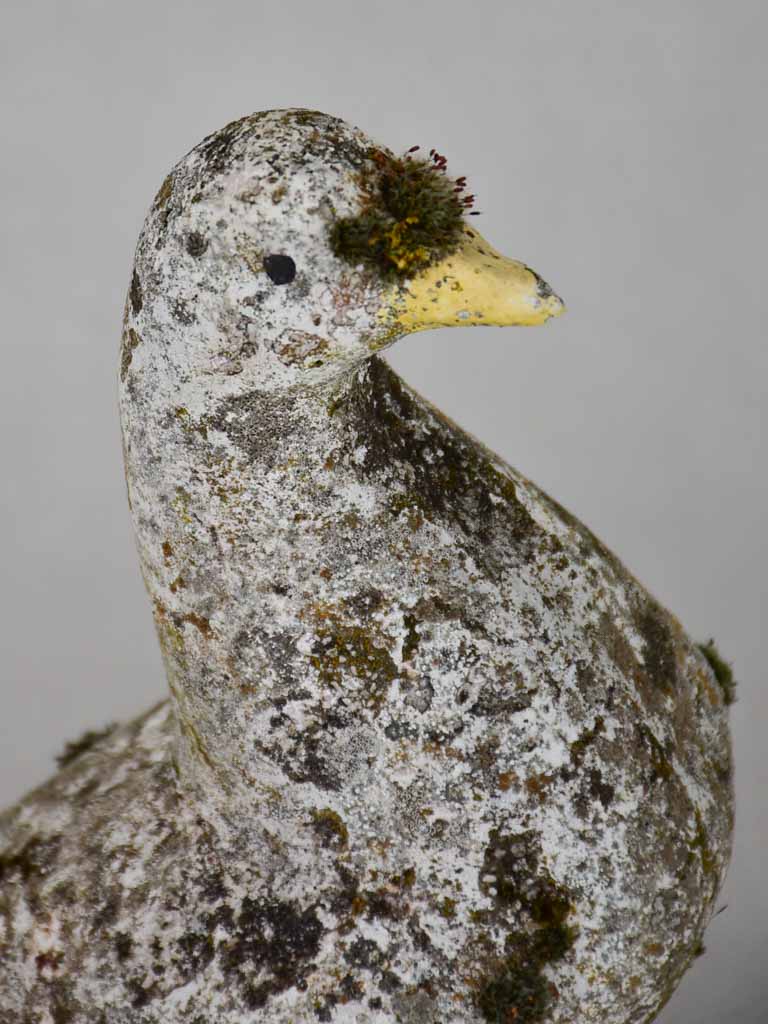 1950's garden ornament of a fantail pigeon