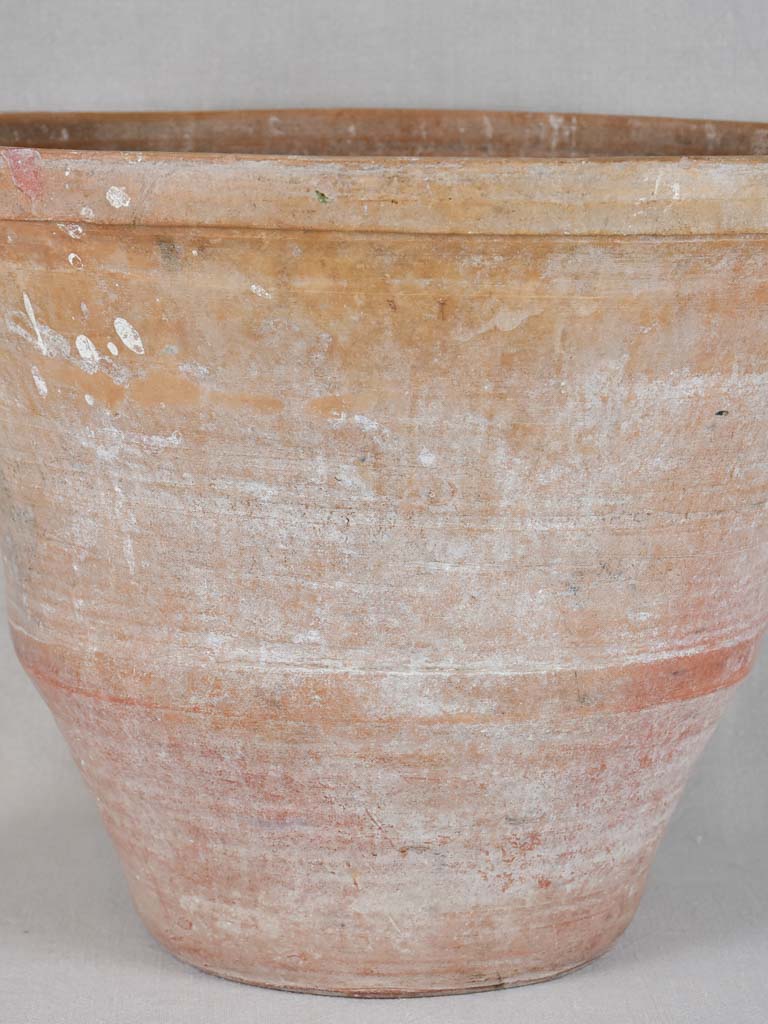 Large terracotta pot with whitewash patina 15"