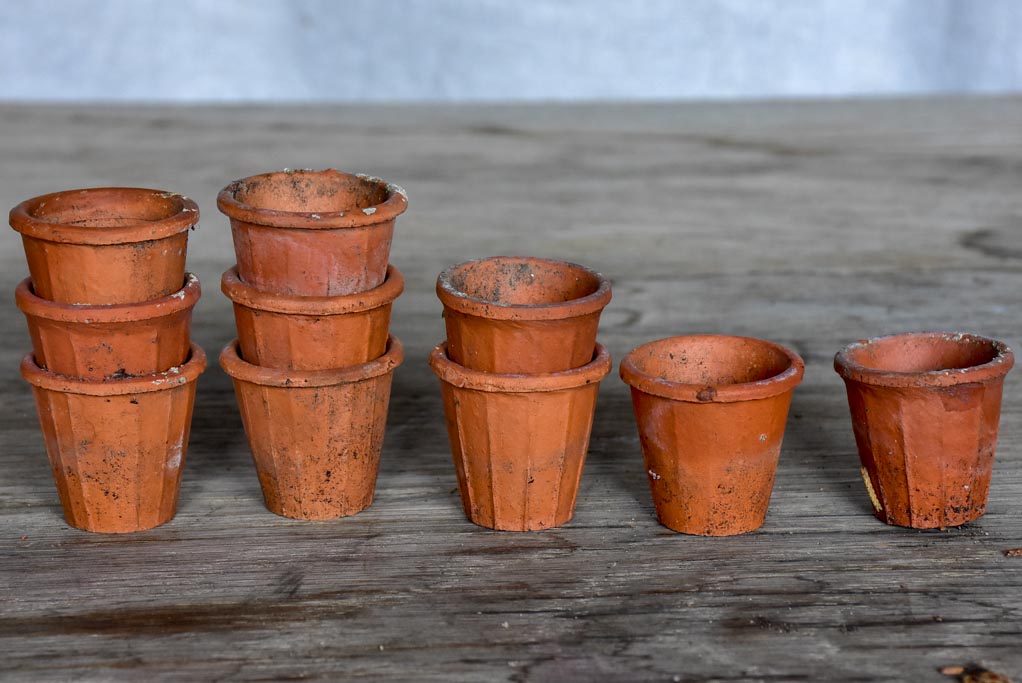 Collection of 12 miniature terracotta seed pots