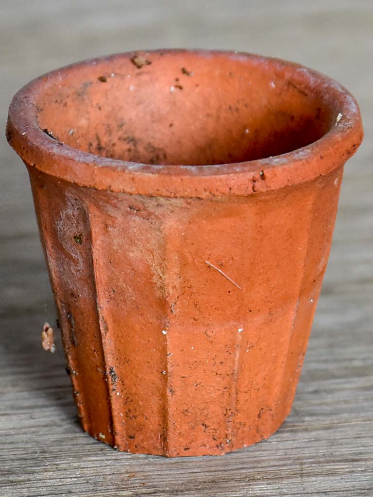 Collection of 12 miniature terracotta seed pots