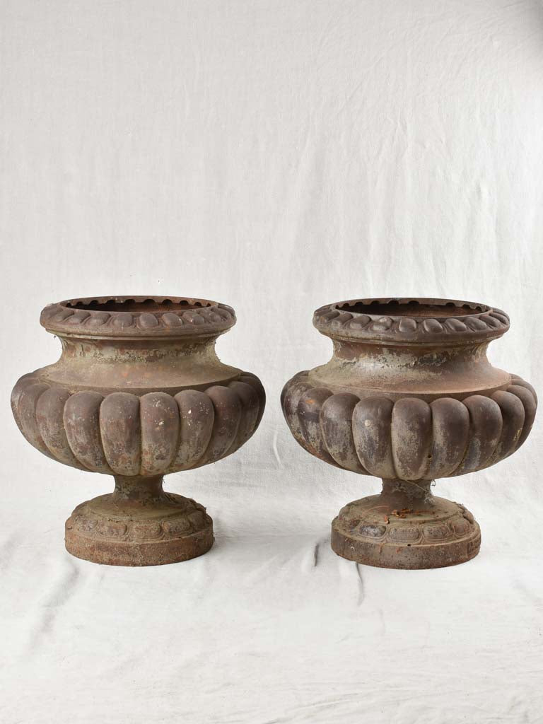 Elegant Cast Iron Medici Planters