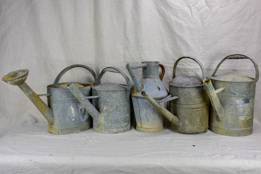 Collection of five antique zinc watering cans
