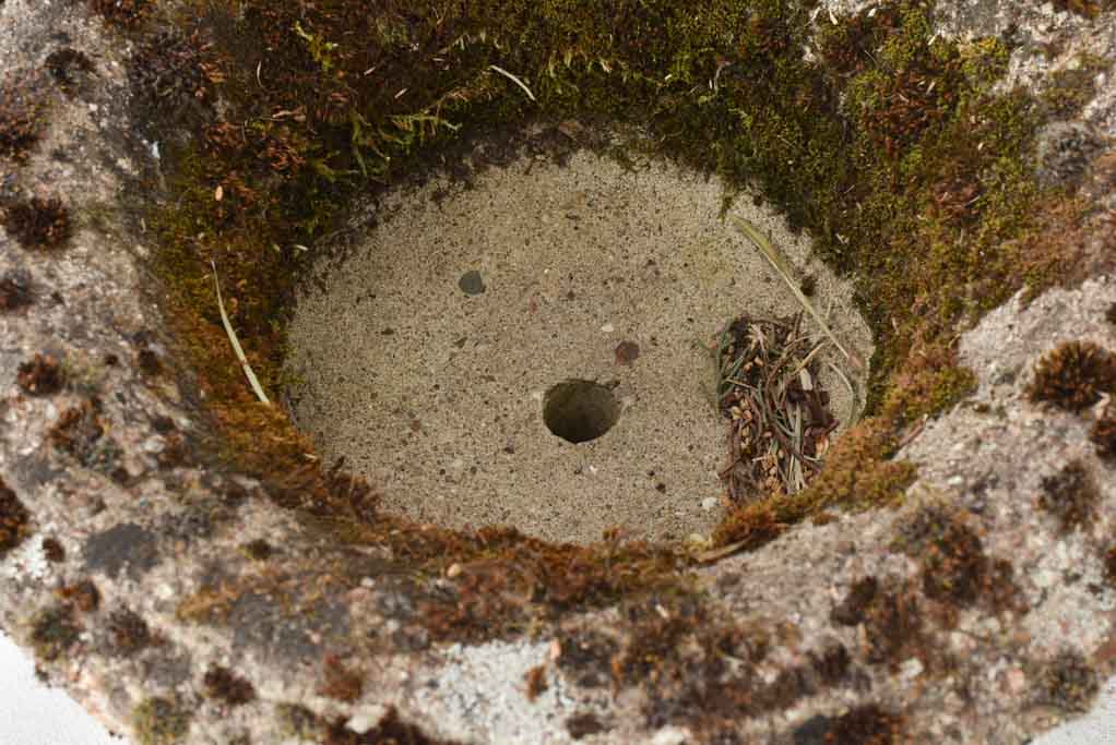 Pair of antique French cement Medici planters