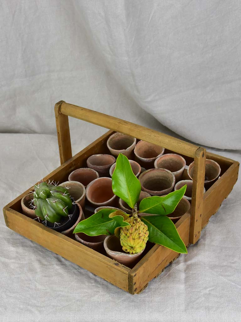Antique French wooden potato harvest basket with terracotta pots