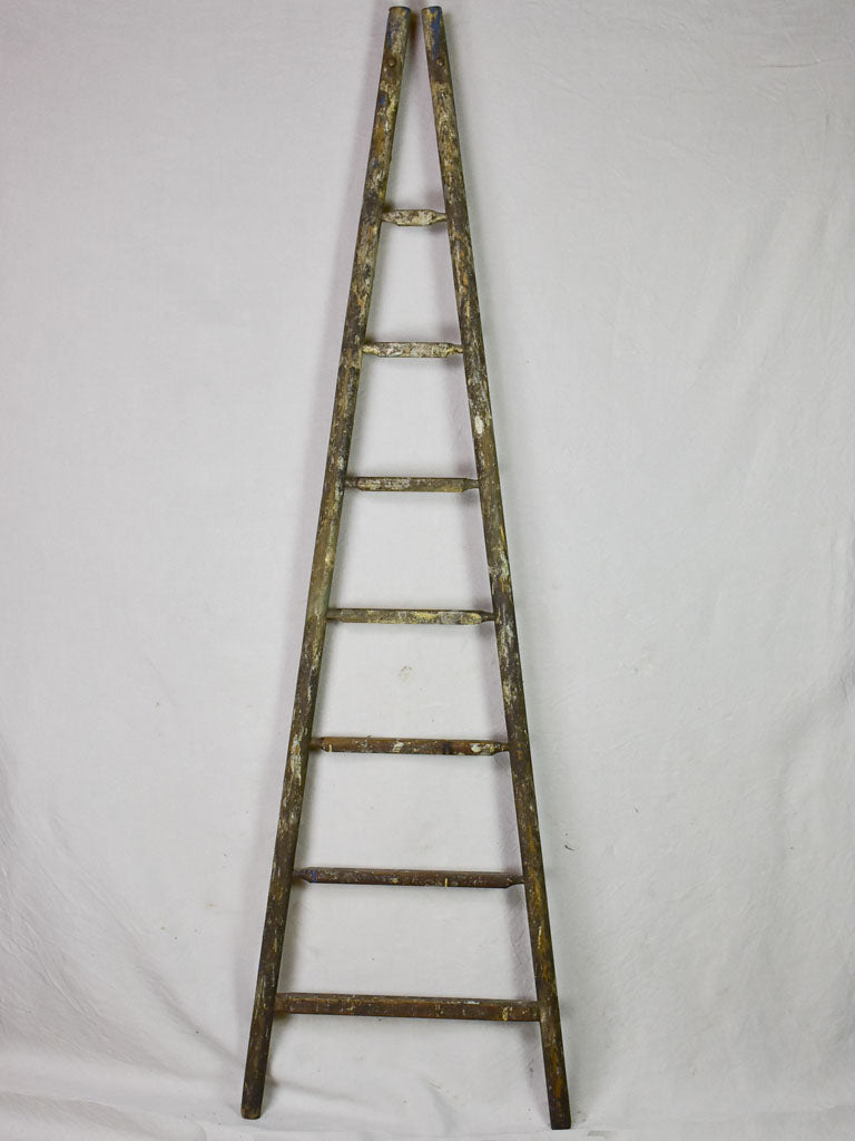19th century French harvest ladder with broad base and narrow top 92¼"