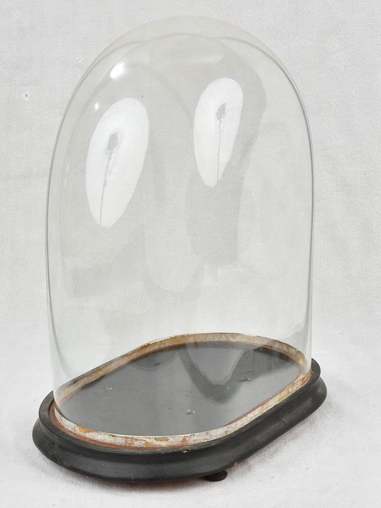 Napoleon III marriage dome - 17¼"