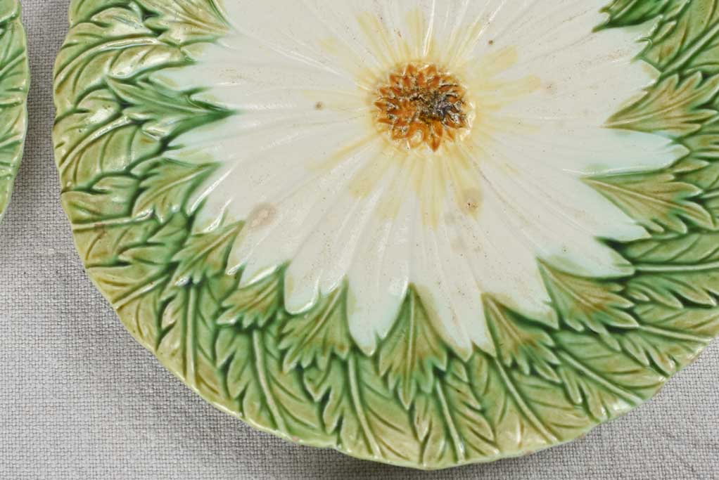 Set of four Majolica daisy plates 8¼"