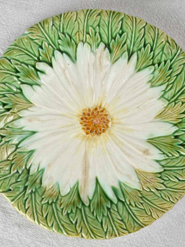Set of four Majolica daisy plates 8¼"