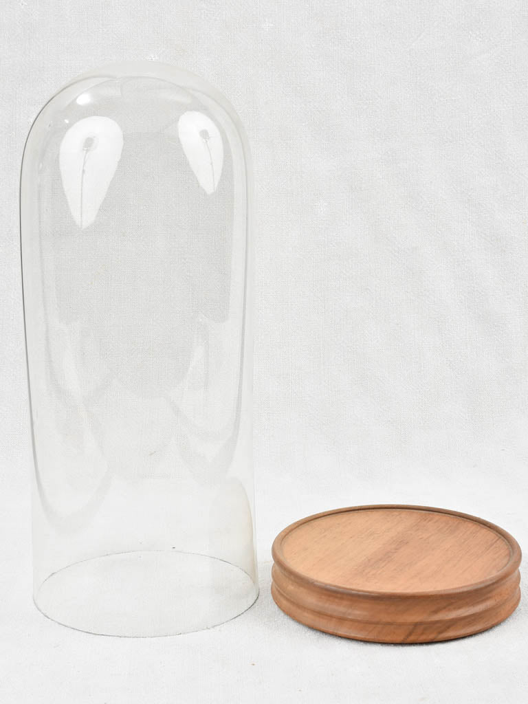 Rustic style tall display glass dome
