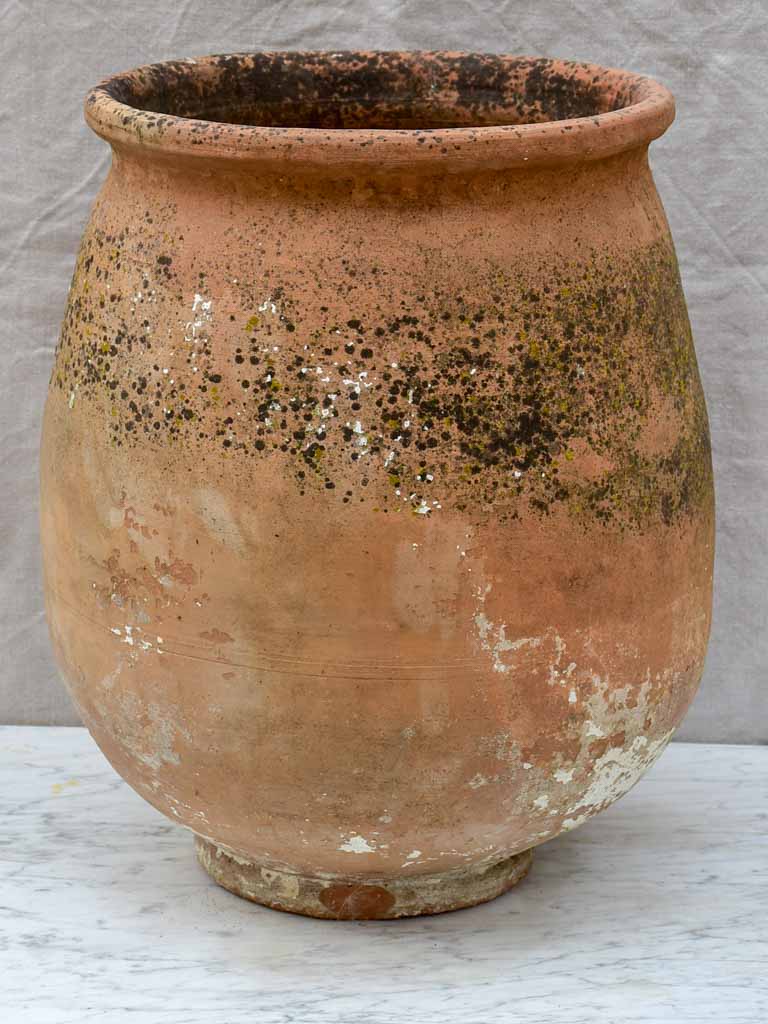 Vintage terracotta planter / oil jar