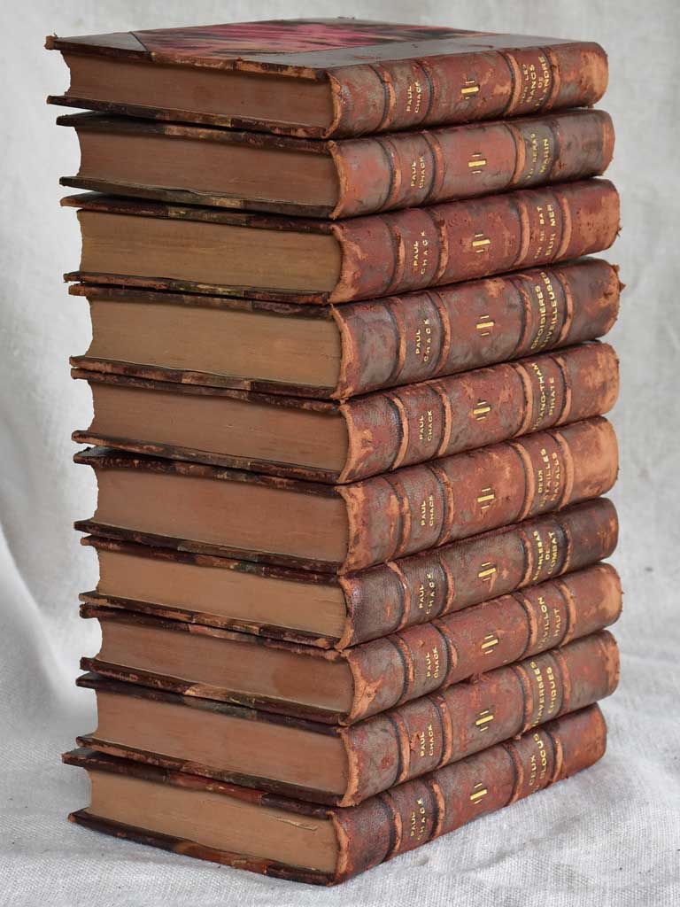 Collection of ten antique French leather bound books