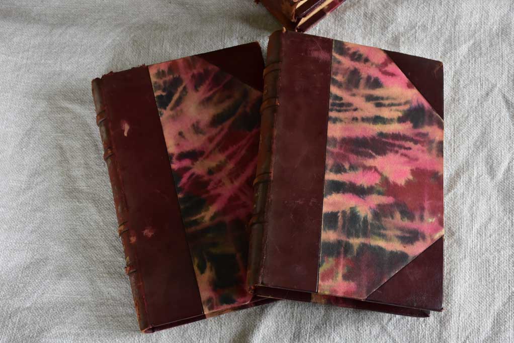 Collection of ten antique French leather bound books