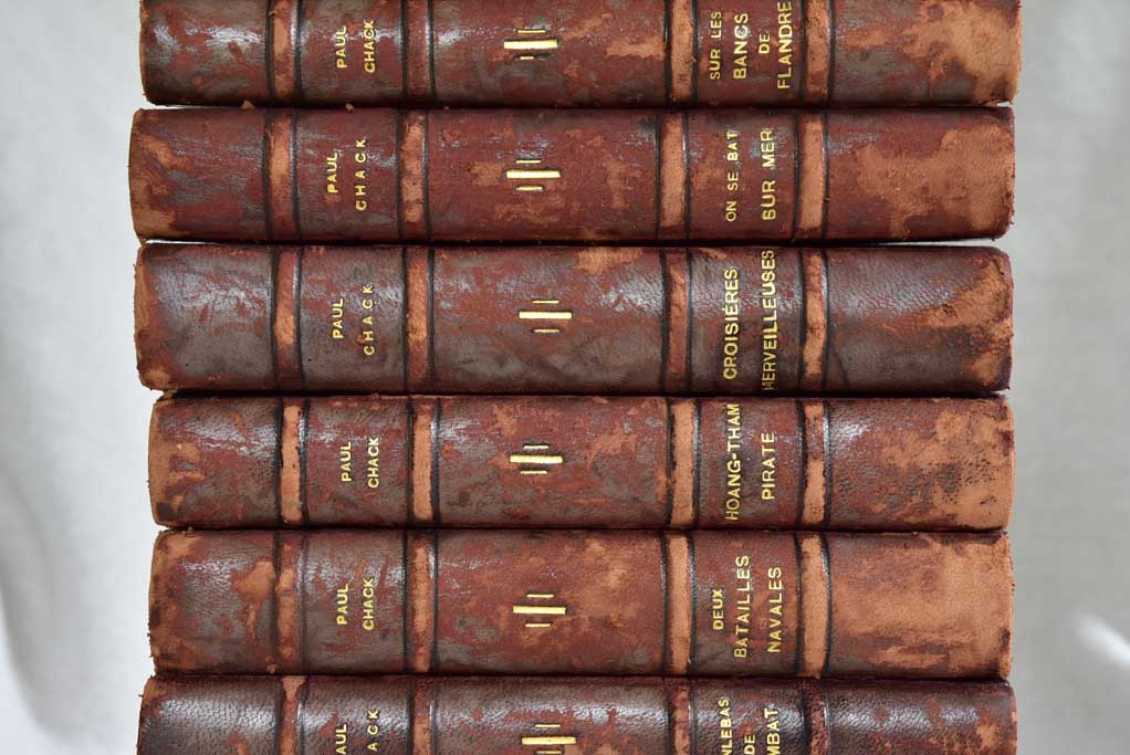 Collection of ten antique French leather bound books