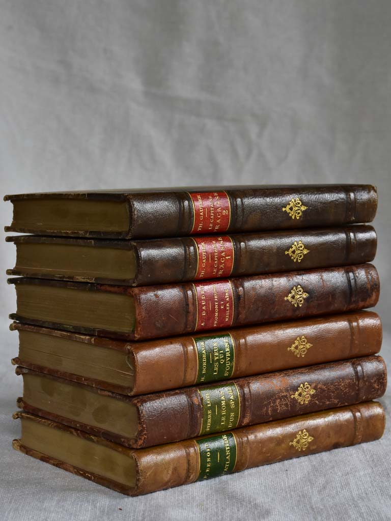 Six antique French leather bound books