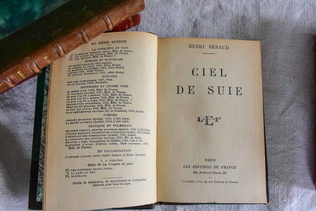Mixed collection of ten antique French leather bound books