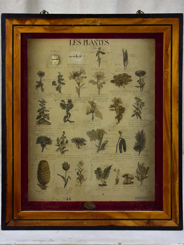 Rare aired French milk process display