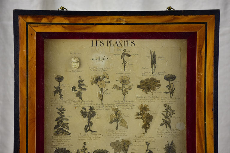 Aged European framed depictions of milk