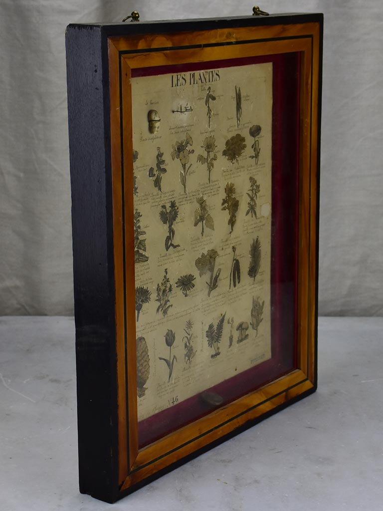 Weathered antique collection of process illustrations