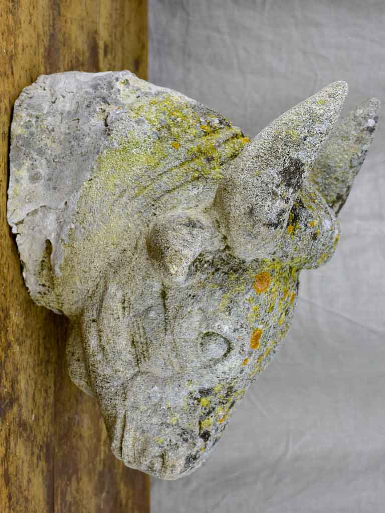 Antique French cow's head - architectural salvage