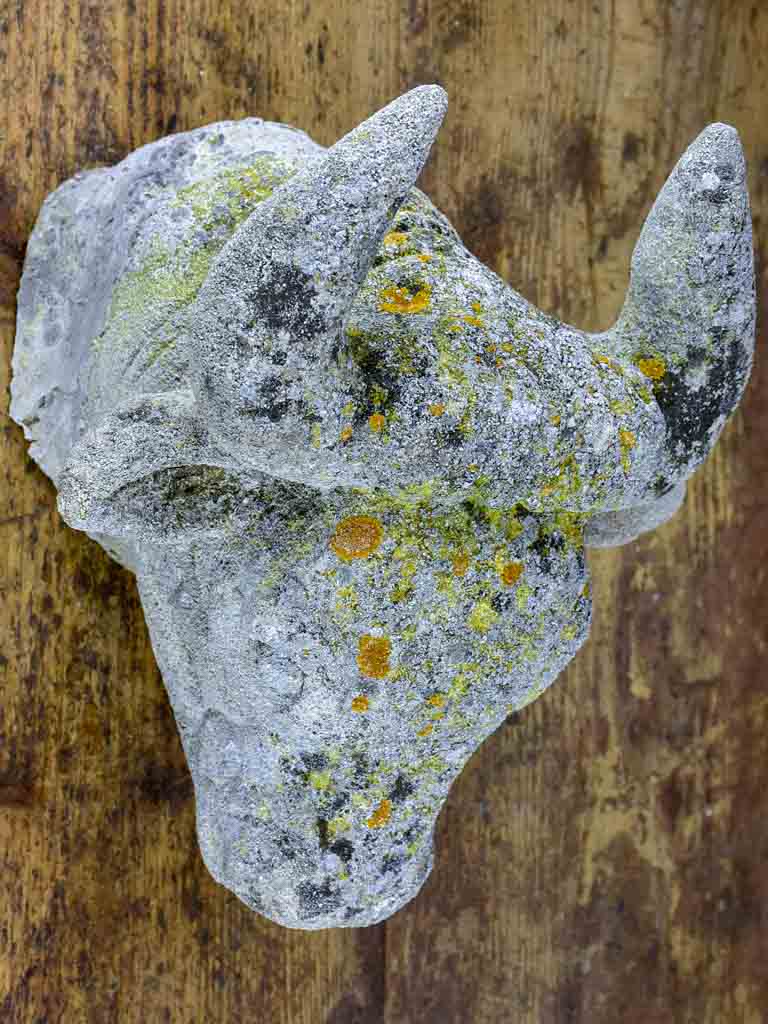 Antique French cow's head - architectural salvage