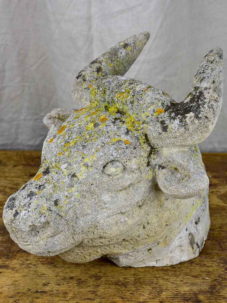 Antique French cow's head - architectural salvage