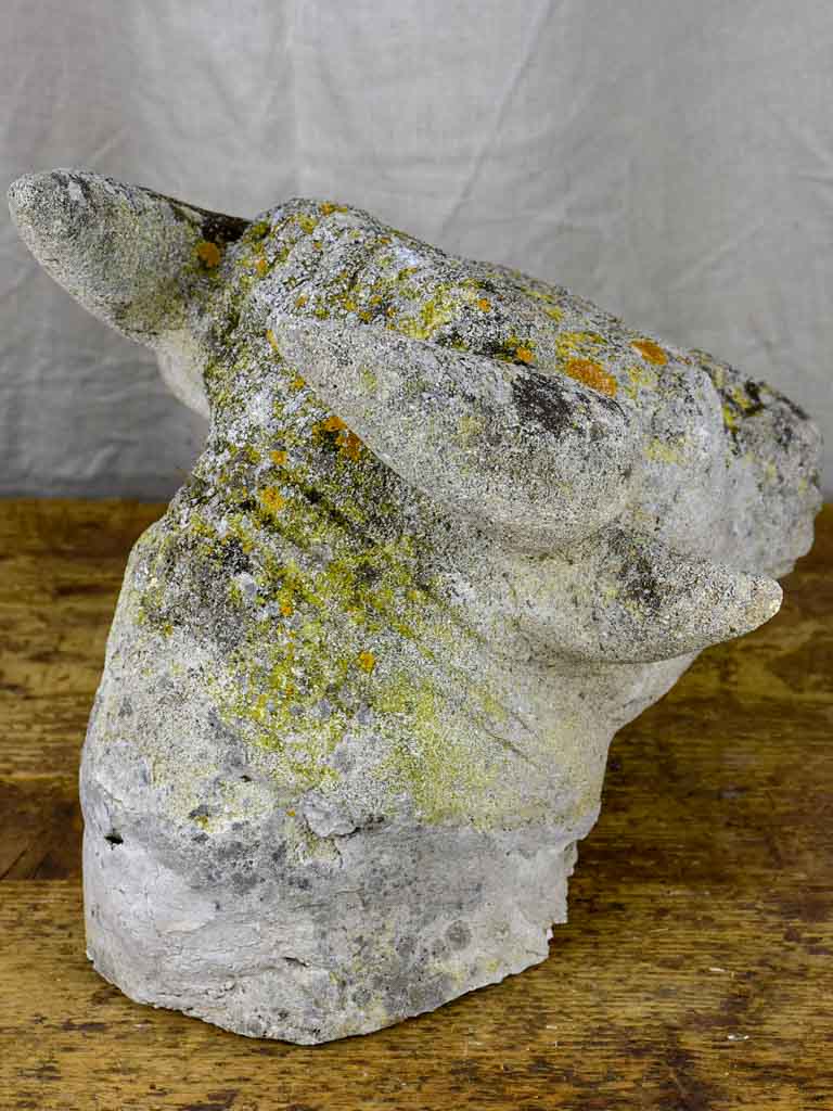Antique French cow's head - architectural salvage