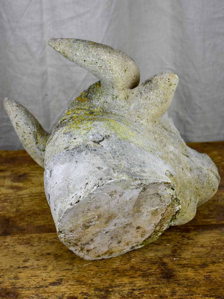 Antique French cow's head - architectural salvage