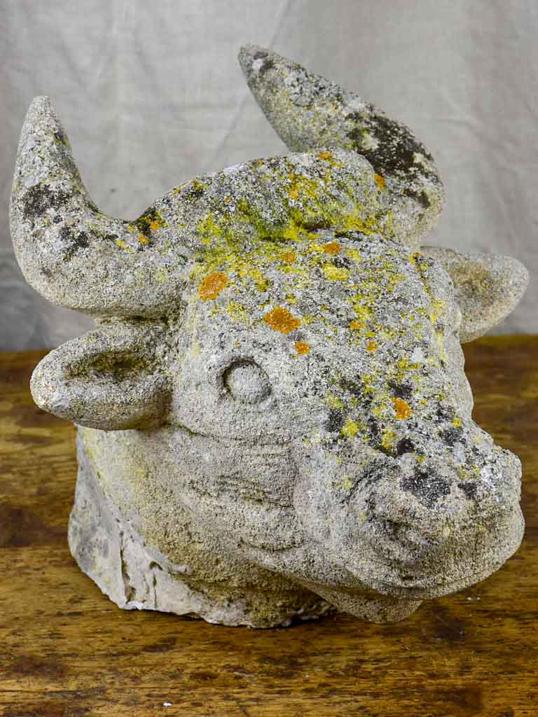 Antique French cow's head - architectural salvage