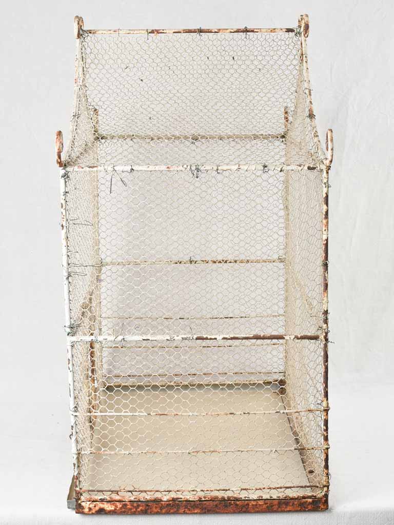 Antique French steel birdcage decorative