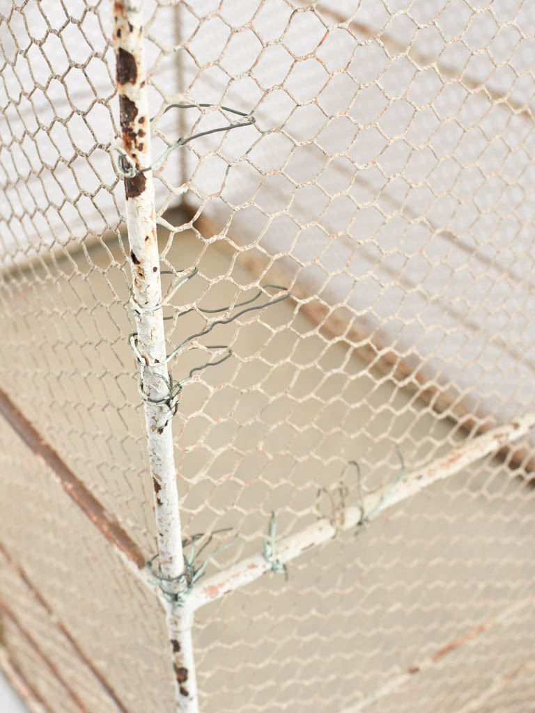 Decorative large birdcage French origin