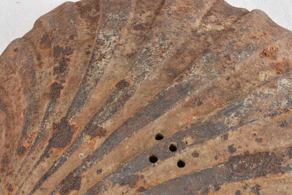 Shell shaped cast iron fountain element 20¾"
