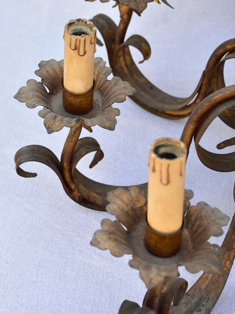 Mid century tole chandelier with daisies and eight lights 24¾"
