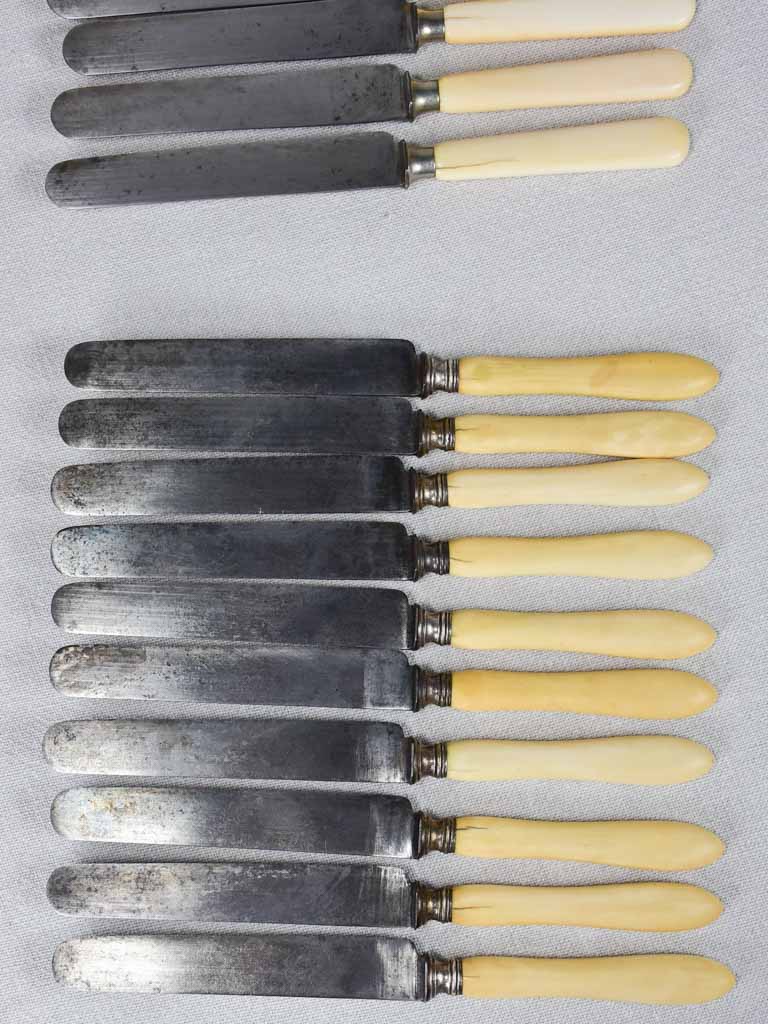 Collection of 17 antique French knives with bone handles