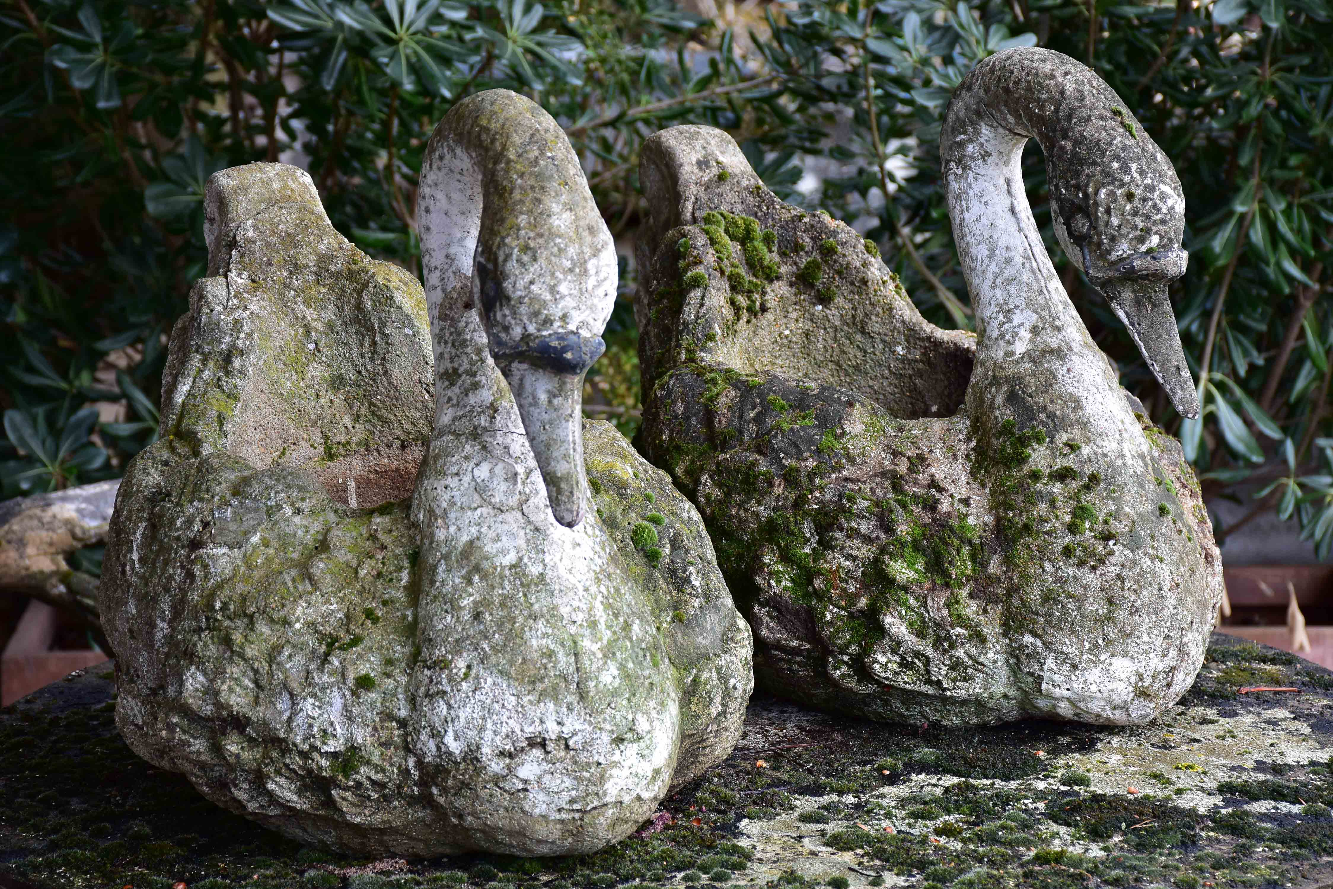 Pair of French garden planters in the shape of swans