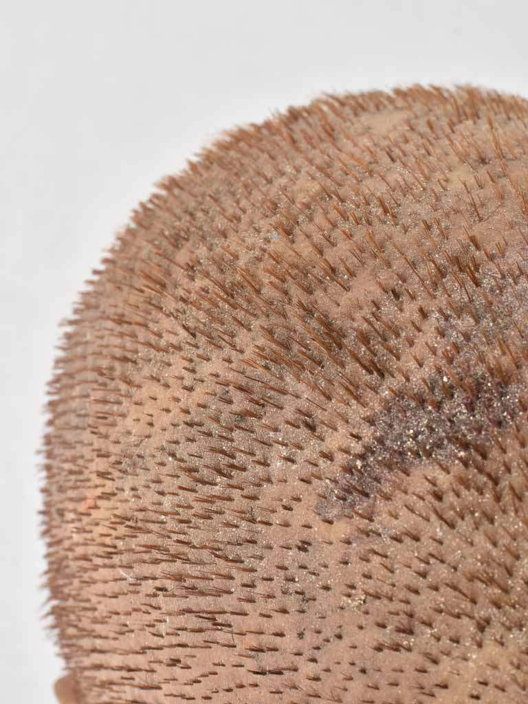 1950s wig display head