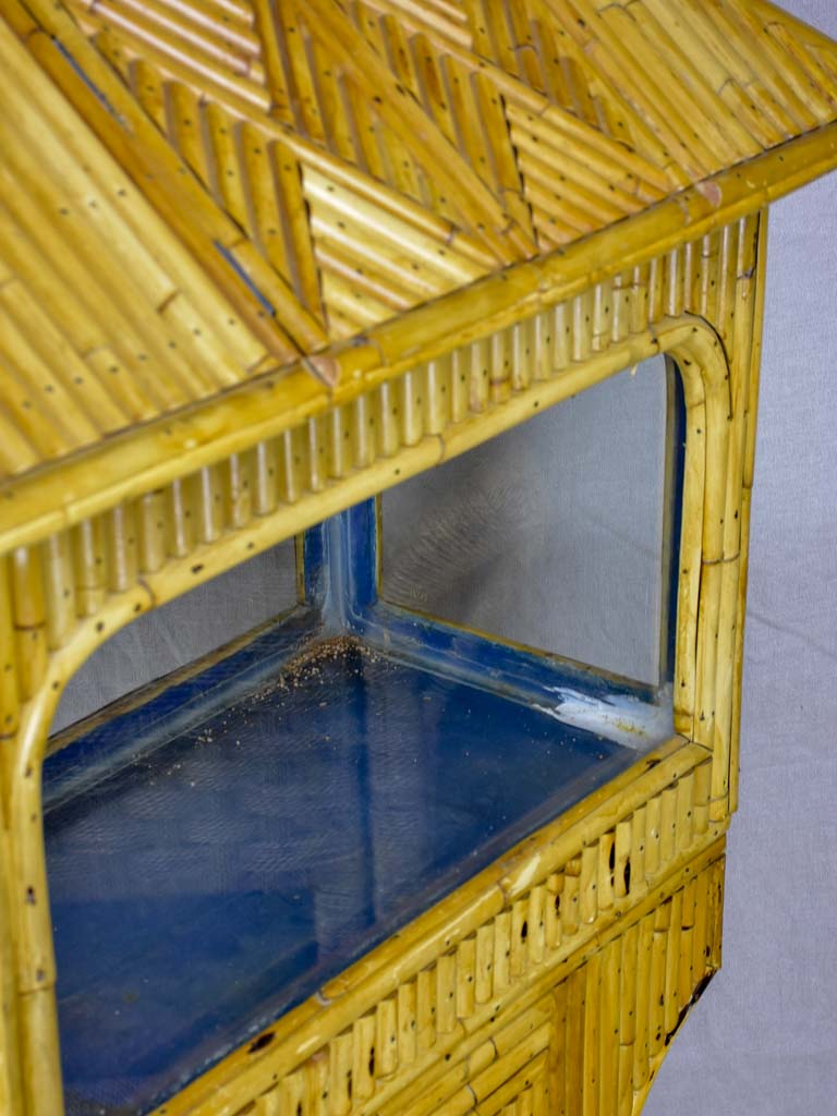 Retro-style blue Asiatic fish tank