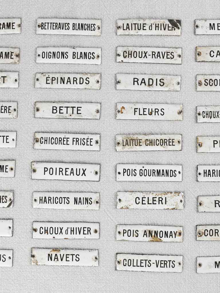Rare collection of 36 enamel seed labels 3¼"