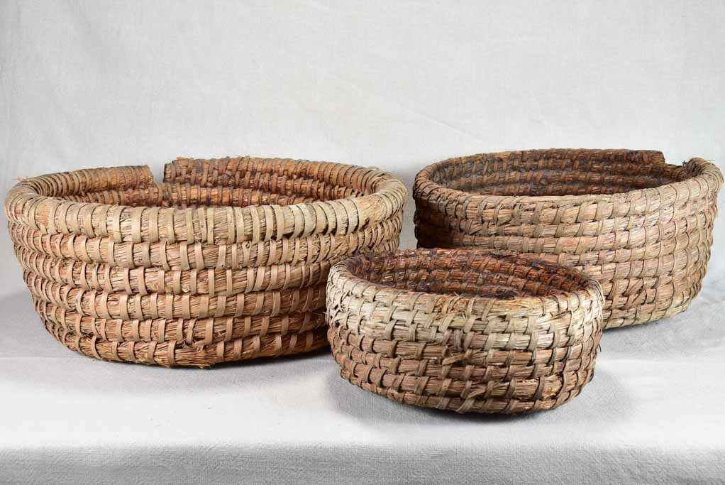 Collection of three French beehives 19¾"