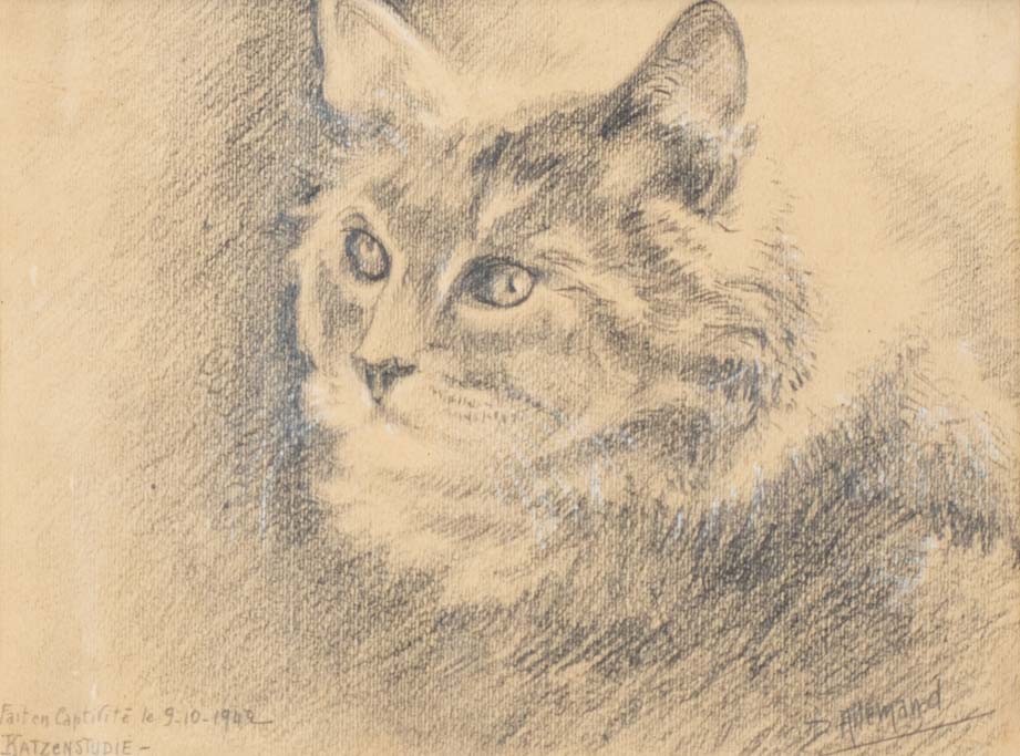 Authentic WWII period pencil cat sketch