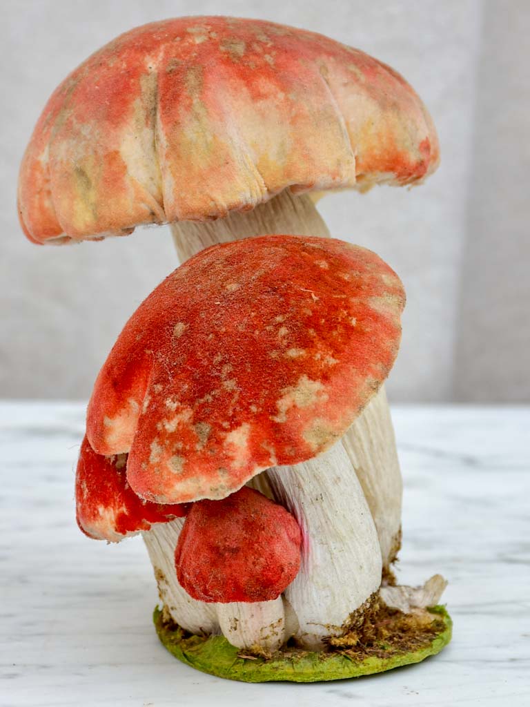Vintage French toadstools from an epicerie