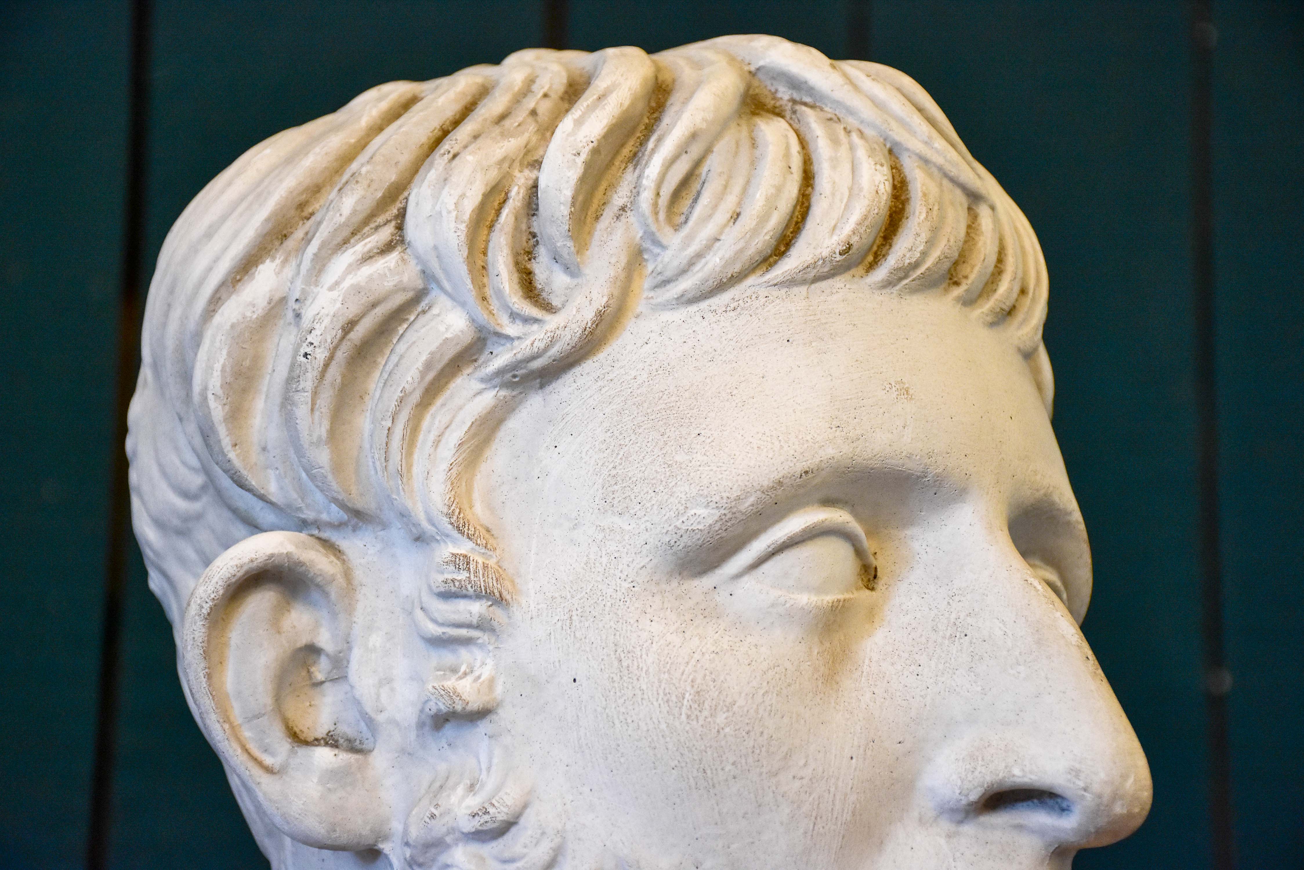 Antique French bust of a bearded man