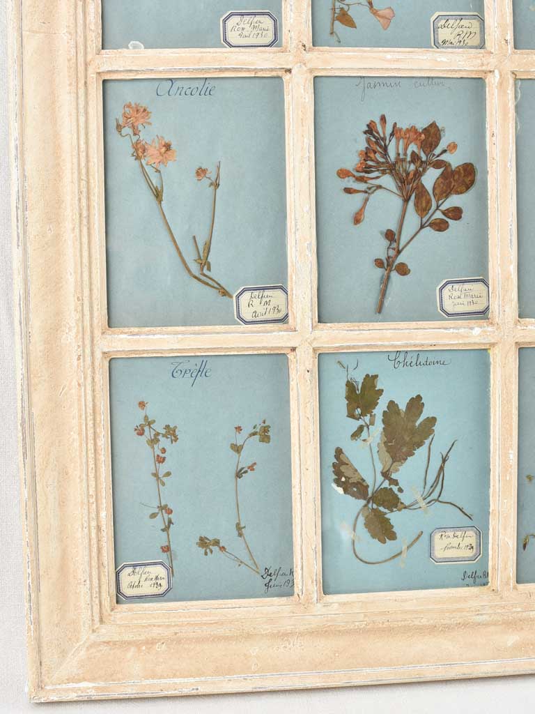 Stylish Vintage Herbiers Décor Piece