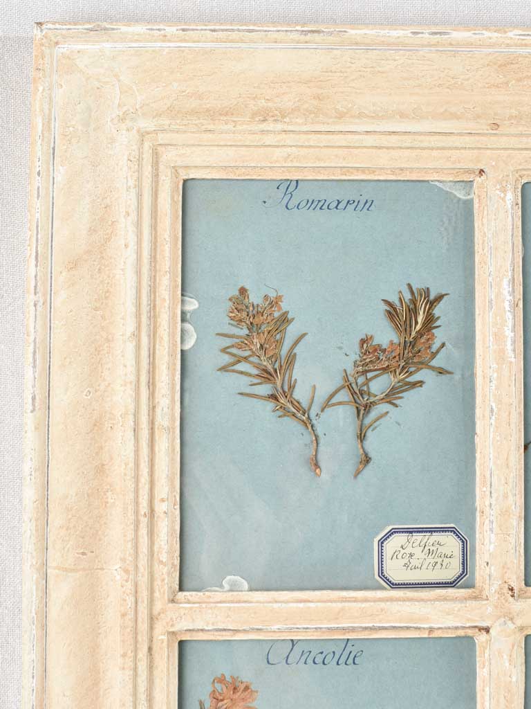 Antique Botanical Wall Hangings